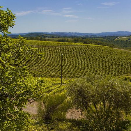 Villa Fattoria Di Magliano Winery à Magliano in Toscana Chambre photo