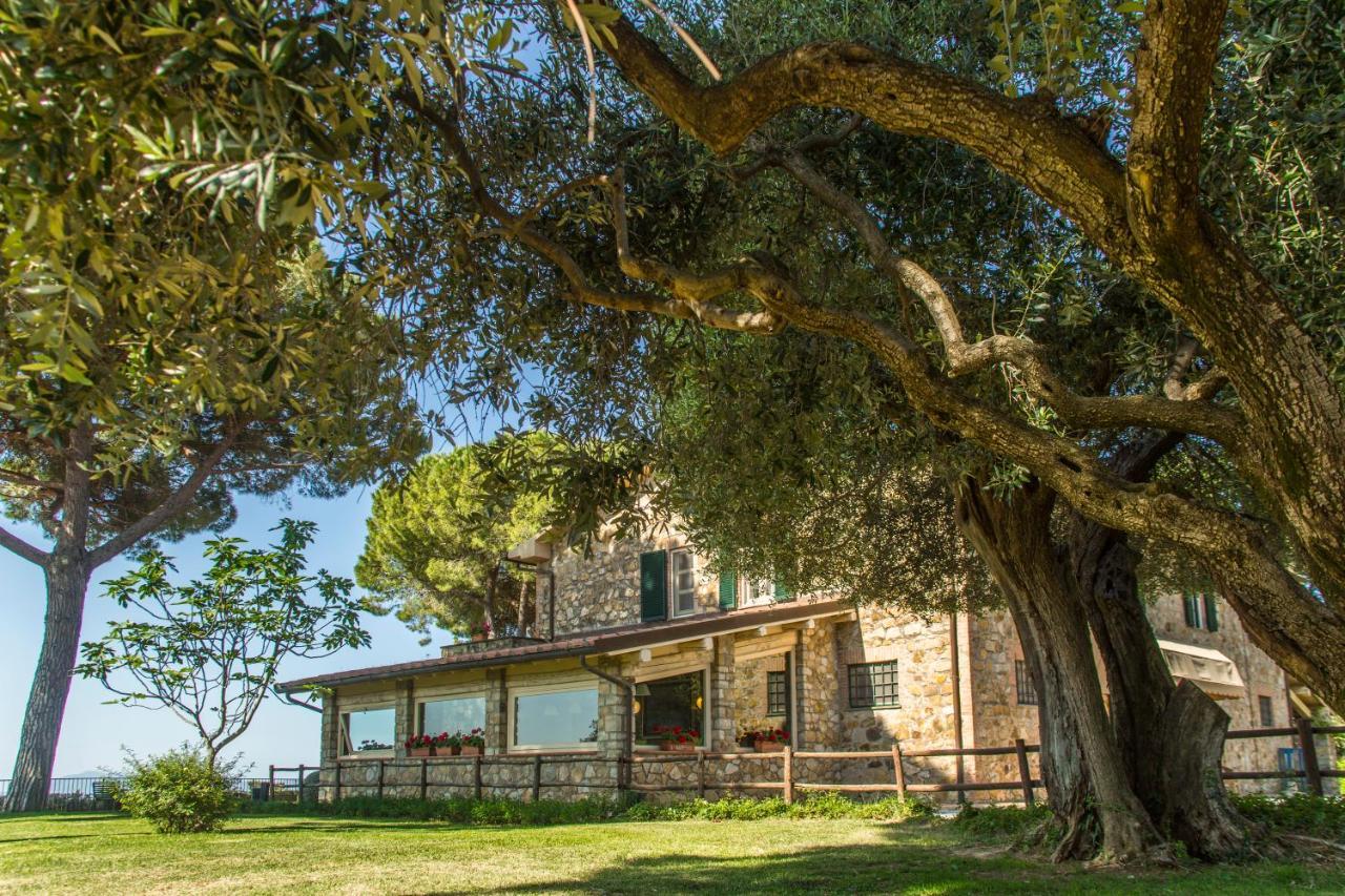 Villa Fattoria Di Magliano Winery à Magliano in Toscana Extérieur photo