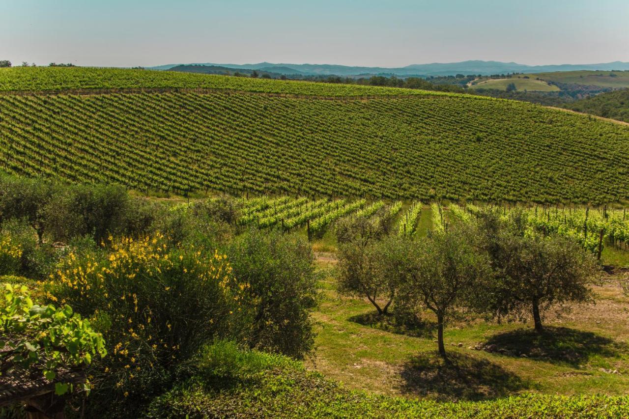 Villa Fattoria Di Magliano Winery à Magliano in Toscana Extérieur photo